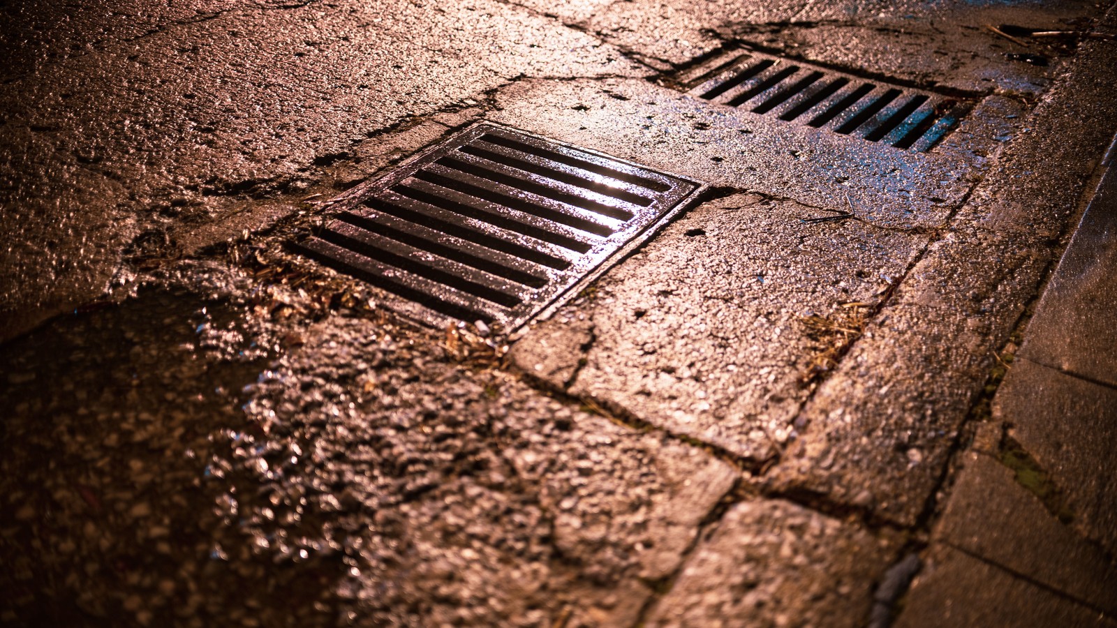 Close-up of wet asphalt and two metal storm-drain grates lit by warm orange street light at night.