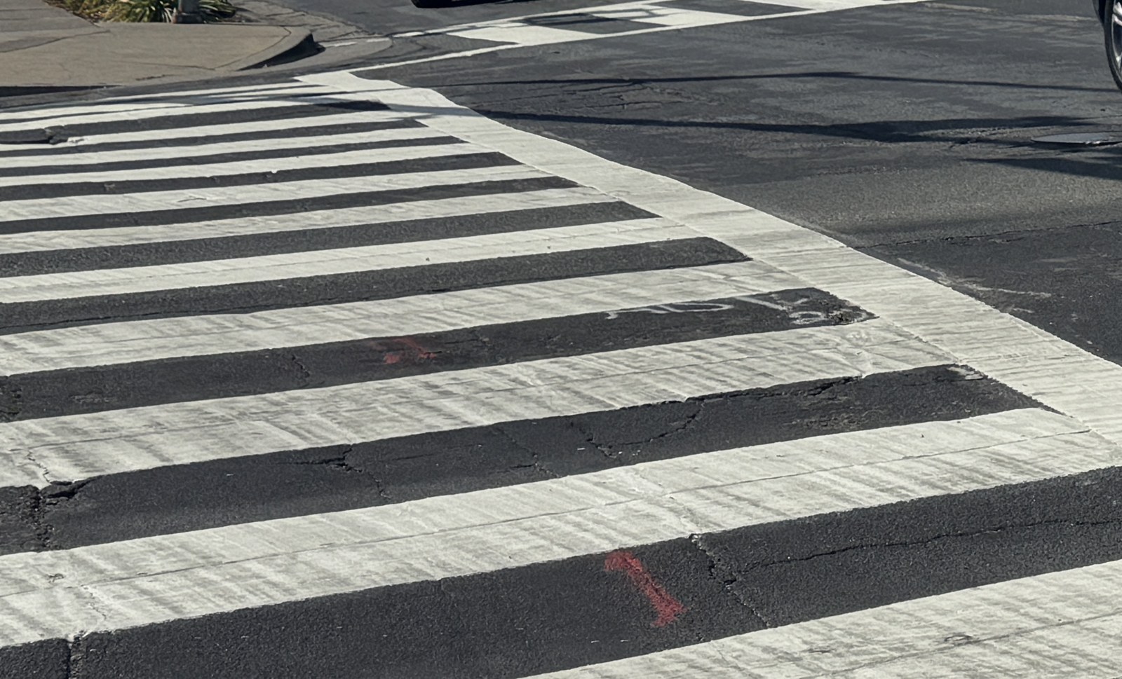 A white-striped zebra crosswalk on asphalt at a city intersection in bright daylight.