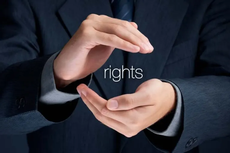 Intellectual Property Violation?