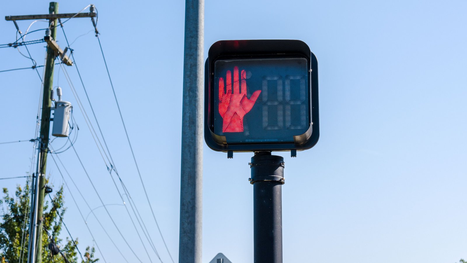 Semáforo peatonal con la mano roja encendida y el contador de cuenta regresiva apagado, sobre un poste negro, junto a un poste de servicios con cables, contra un cielo azul y copas de árboles, sin personas, texto ni logotipos.