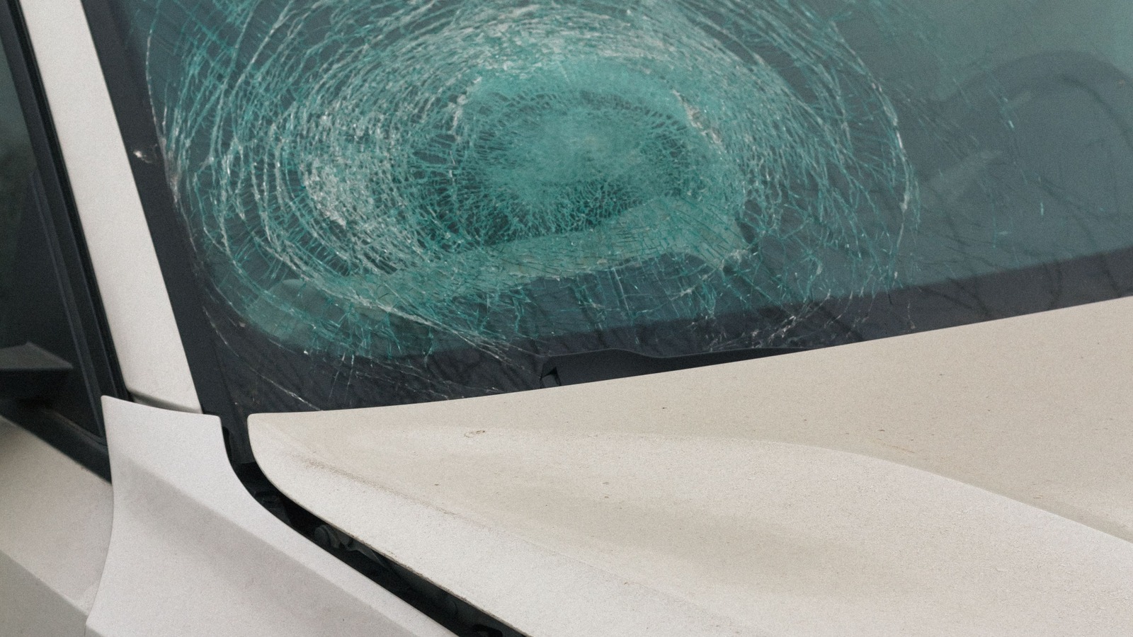Primer plano del parabrisas de un auto blanco, roto en forma de telaraña alrededor de un gran impacto circular, junto al capó blanco y el borde de la puerta delantera.