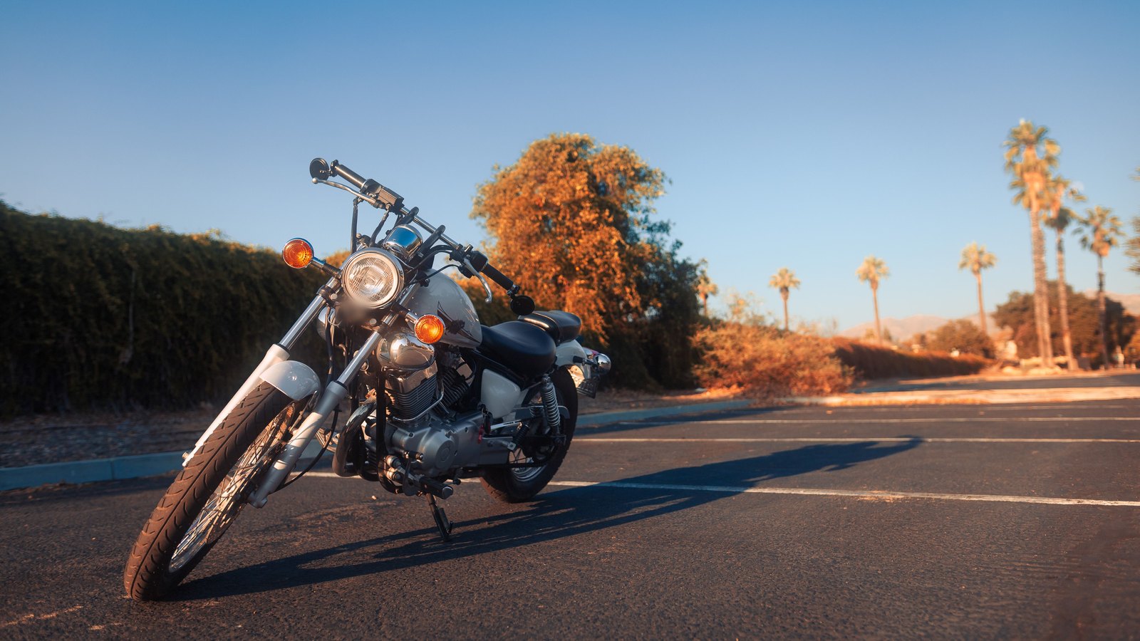 A white cruiser motorcycle parked on dark asphalt with painted white lines, with palm trees and a hedge behind it.