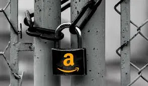 Velocity Limits for Amazon Sellers
