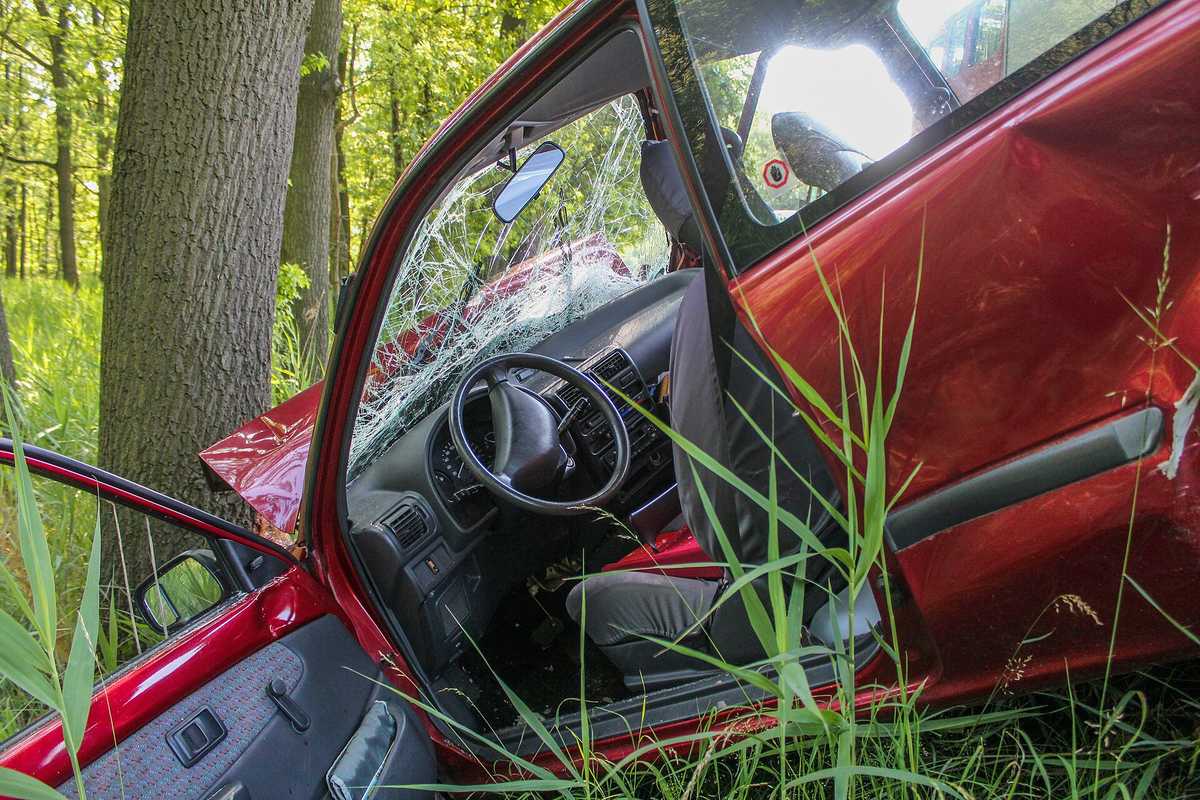 A red car with a shattered windshield and a crumpled hood next to a tree trunk, seen through tall grass in a wooded area.